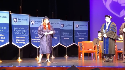 Gonfalons / Graduation & Custom Event Banners