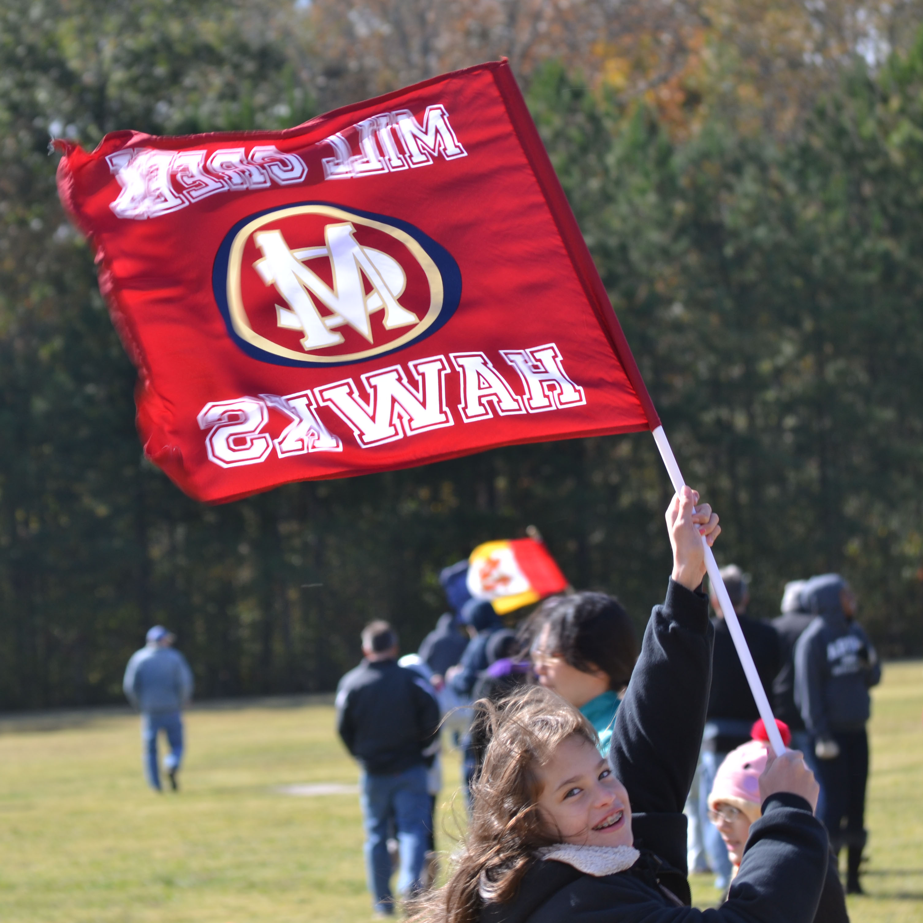 Stick Fan Flags - All sizes